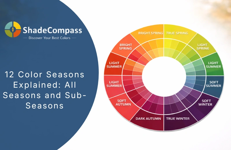 12 Color Seasons - Full Breakdown of All 12 Types